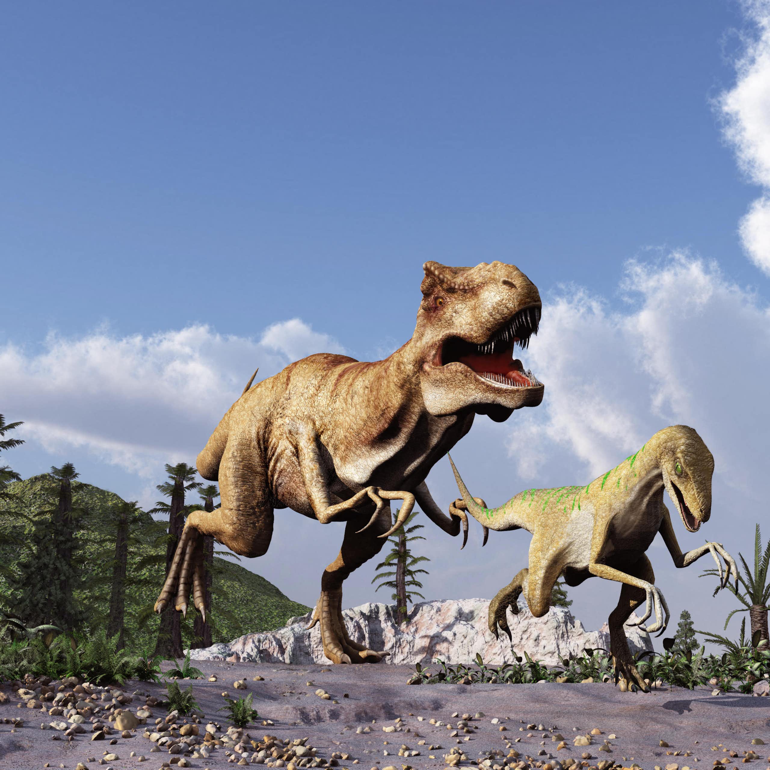 Artist's impression of a Tyrannosaurus rex chasing a Velociraptor