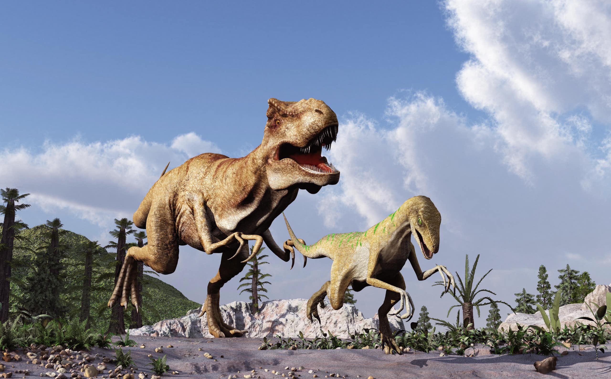 Artist's impression of a Tyrannosaurus rex chasing a Velociraptor
