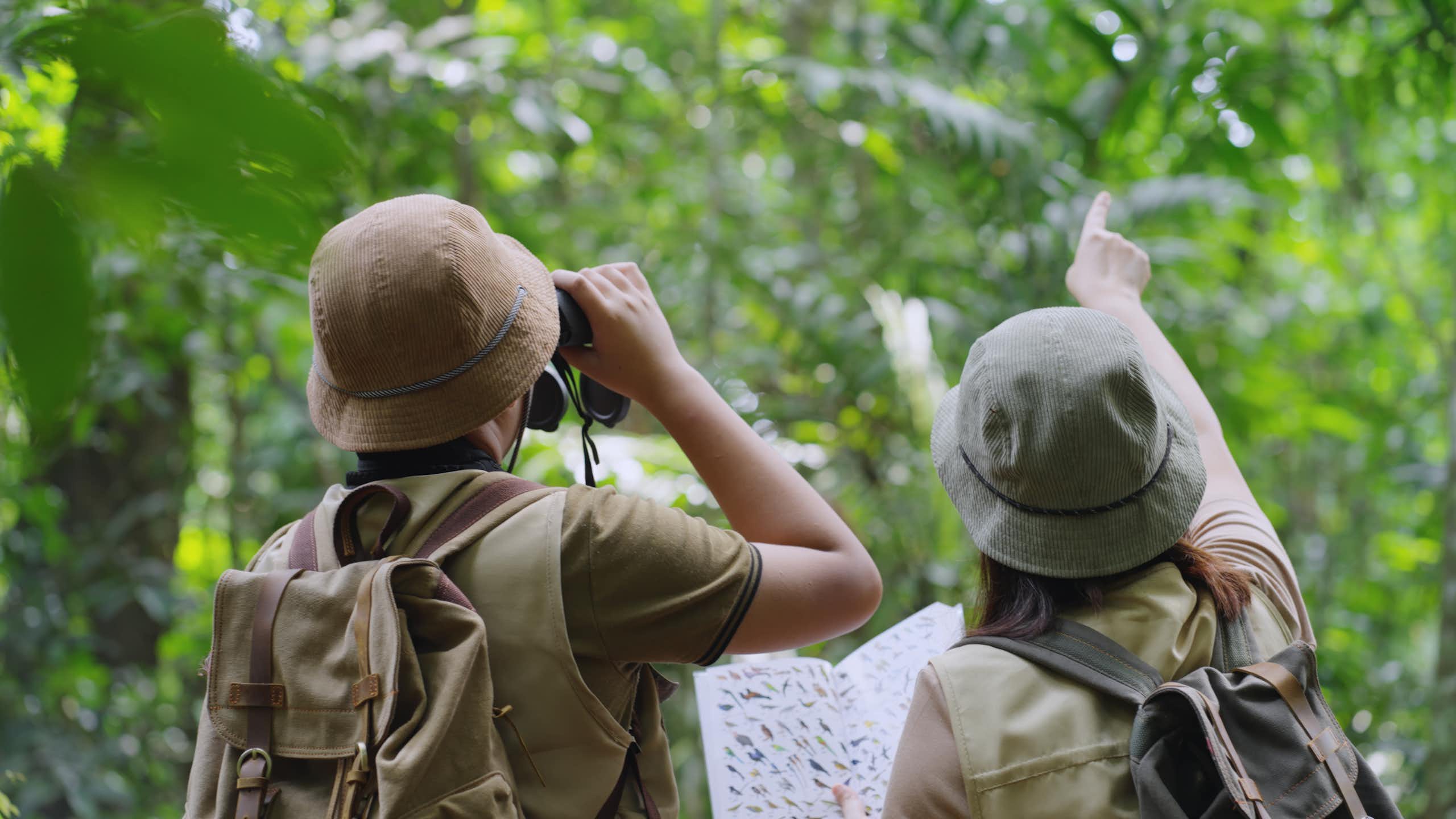 Two people looking at birds in a forest using binoculars and a guidebook. 