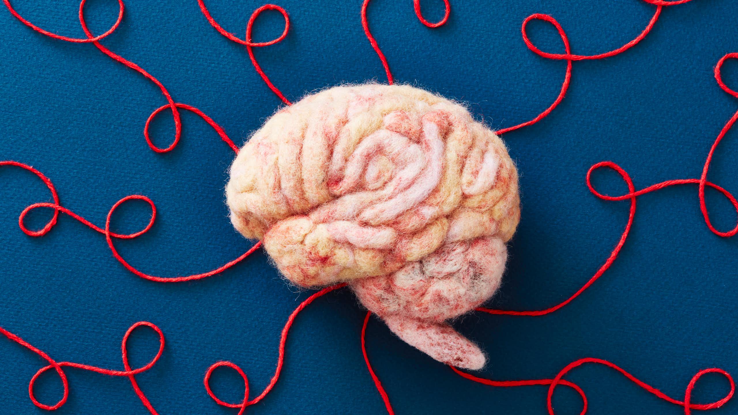 a brain made from wool, with red strings coming from it