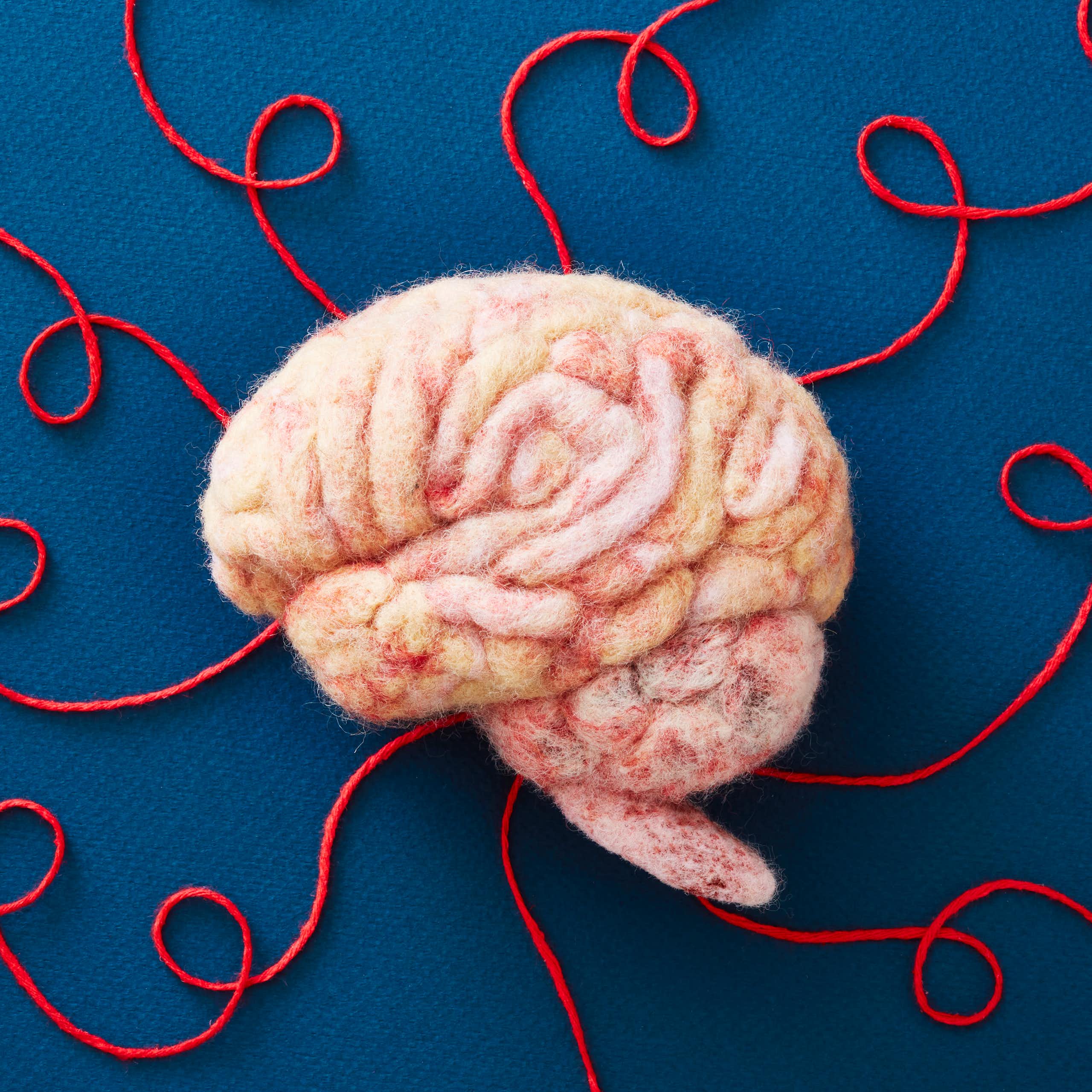 a brain made from wool, with red strings coming from it
