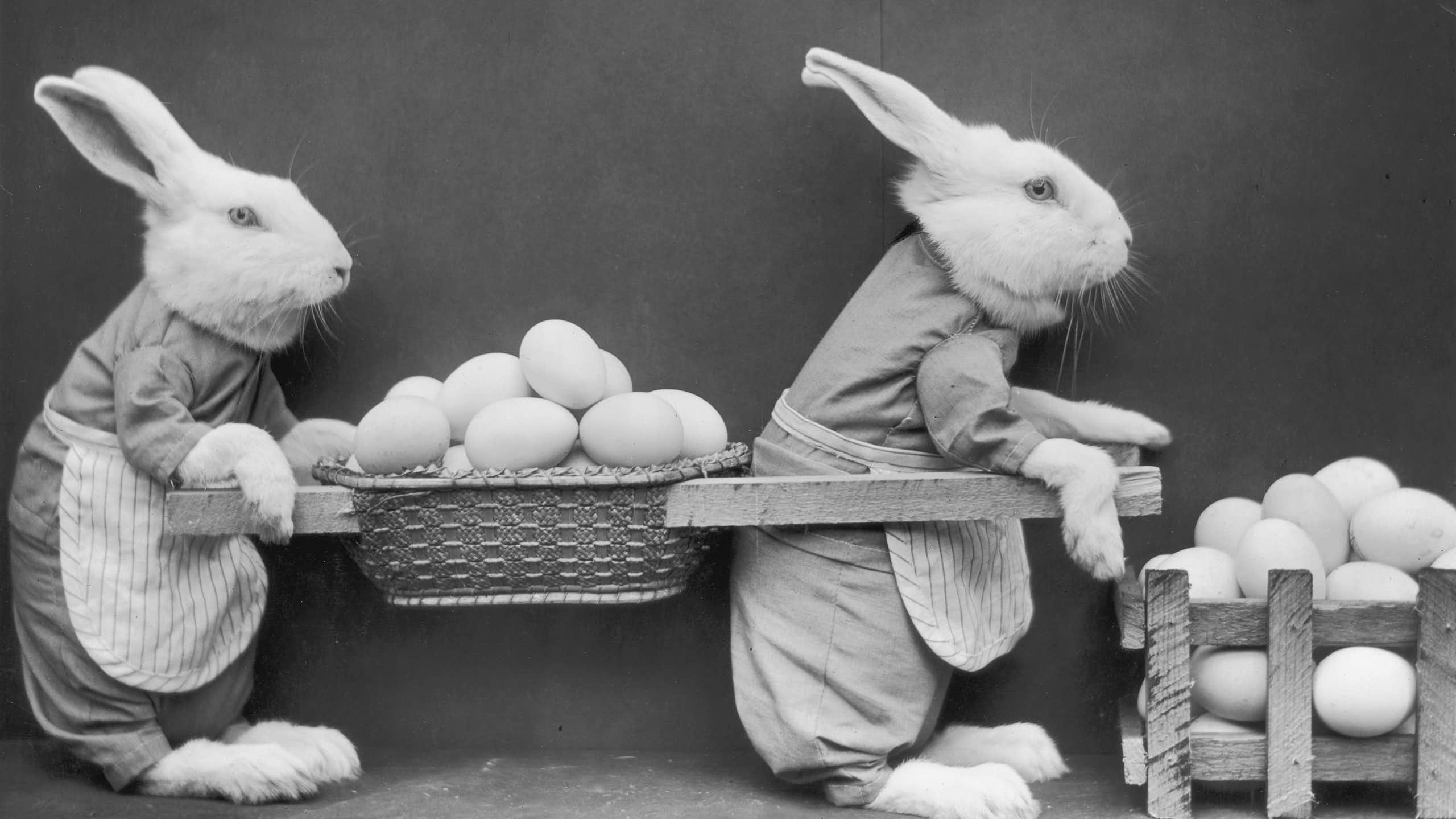 A black and white image of two rabbits, carrying eggs between them in little carts.